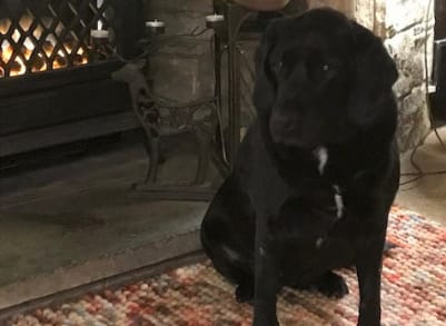Lexi relaxing in the lounge