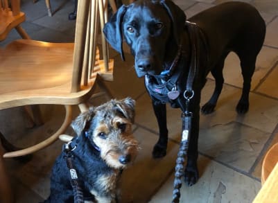 Ruby & Ellie, a lovely looking duo in  the bar.