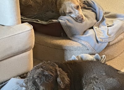 IMG_0089.jpeg