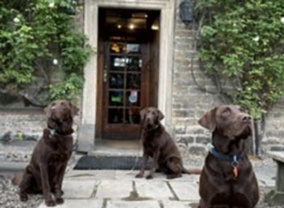 Highhouse Boys at the Rose and Crown.jpeg