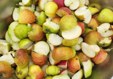 Harvest Festival 2023