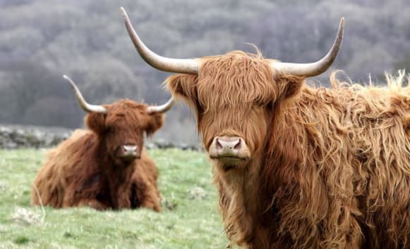 Latest News from Old Vicarage