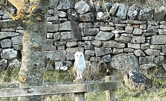 Latest News from Old Vicarage