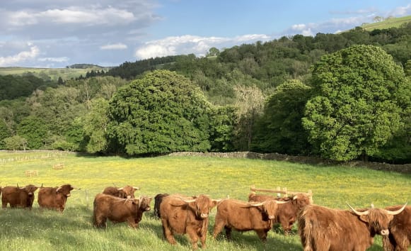 Latest News from Old Vicarage