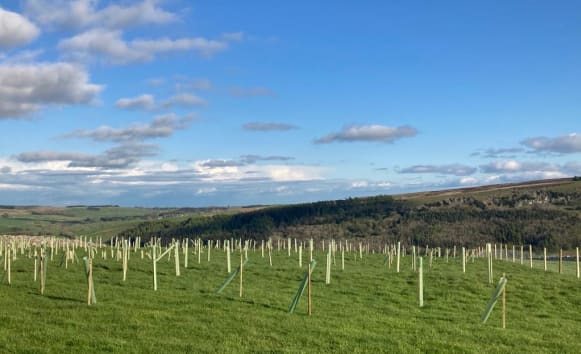 Latest News from Old Vicarage