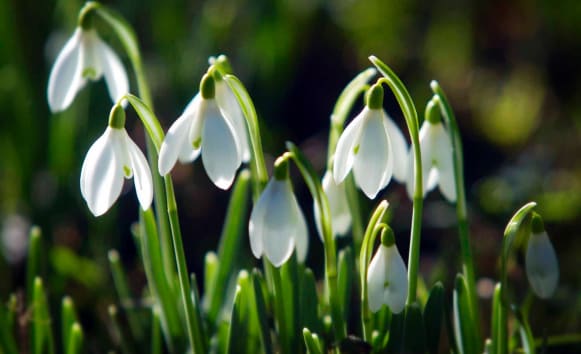 Latest News from Old Vicarage