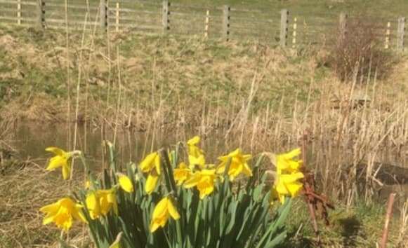 Latest News from Old Vicarage