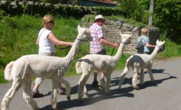 Latest News from Old Vicarage
