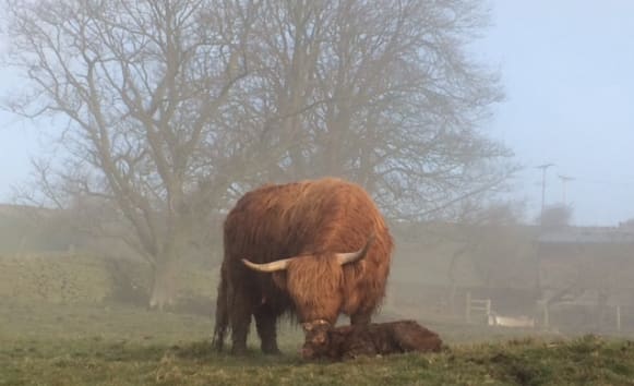 Latest News from Old Vicarage