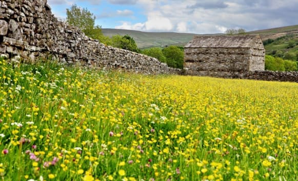 Latest News from Old Vicarage
