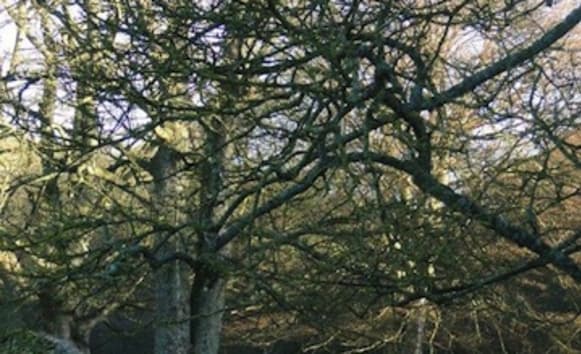 Latest News from Old Vicarage