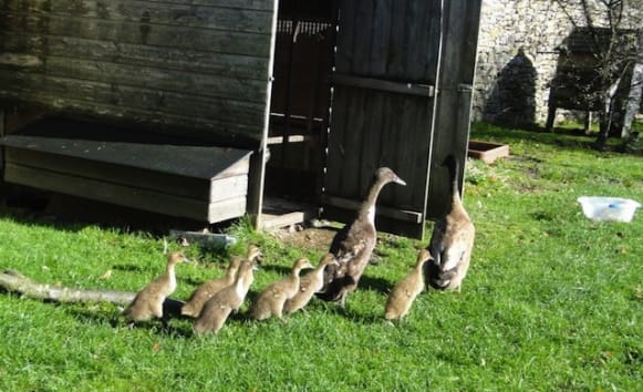 Latest News from Old Vicarage