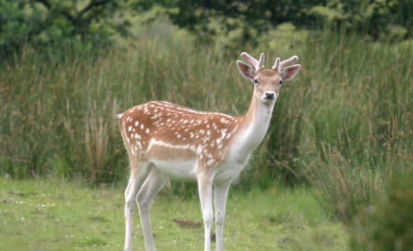 Latest News from Old Vicarage