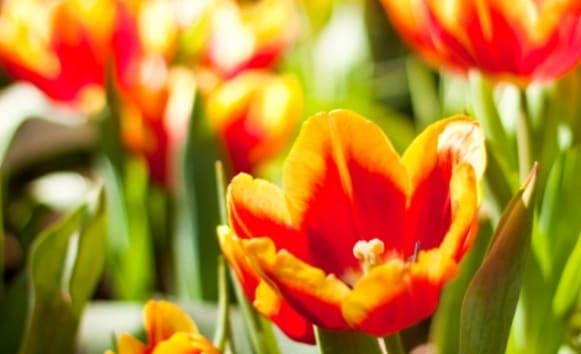 Latest News from Old Vicarage