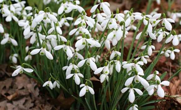 Latest News from Old Vicarage