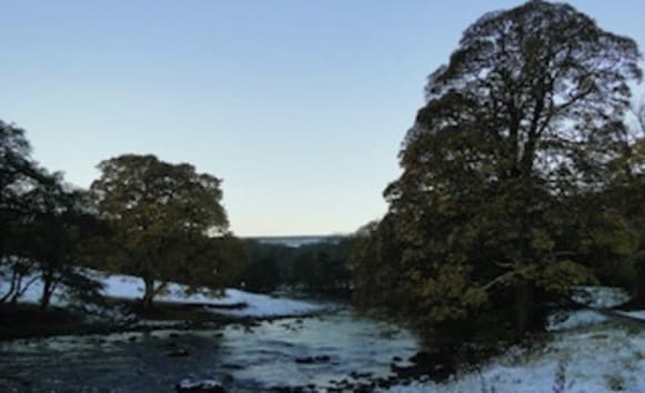 Latest News from Old Vicarage