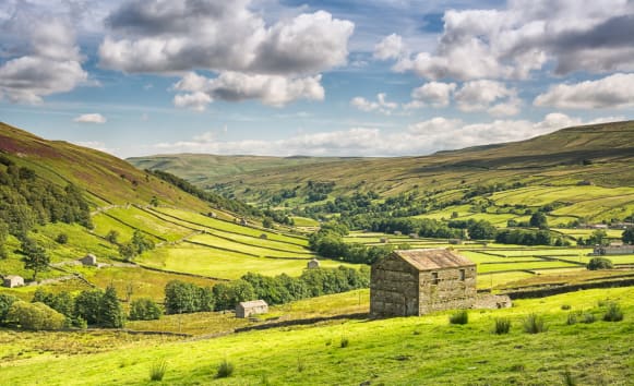 Latest News from Old Vicarage