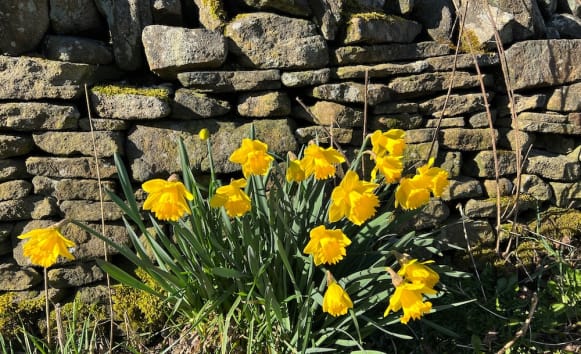 Latest News from Old Vicarage