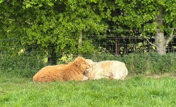 Latest News from Old Vicarage