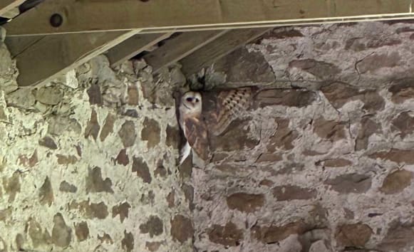 Latest News from Old Vicarage
