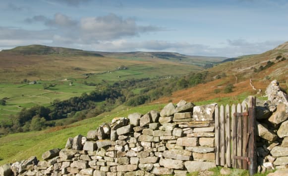 Latest News from Old Vicarage