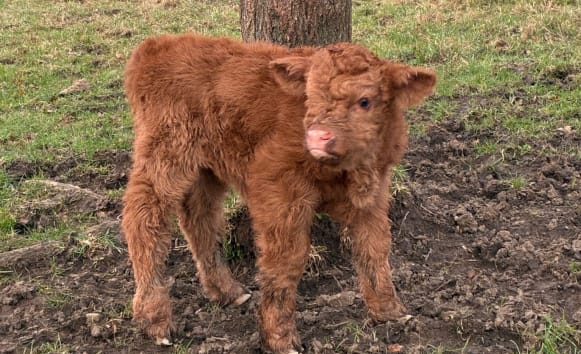 Latest News from Old Vicarage