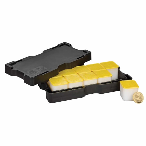 2027 1oz Gold Britannia Monster Box