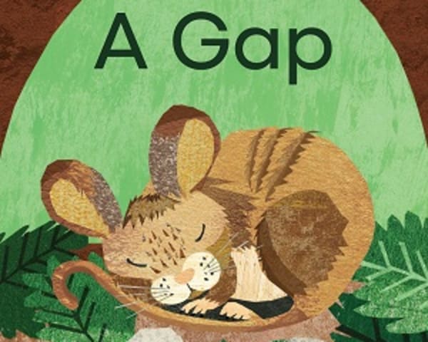 A Gap: My Letters and Sounds Phase Two Phonics Reader — cover image