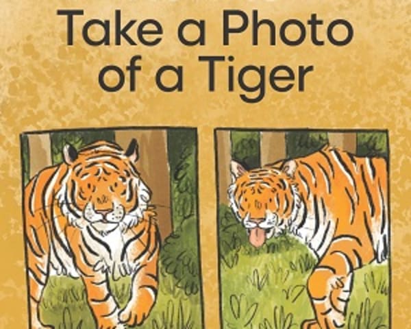 How to Take a Photo of a Tiger: My Letters and Sounds Phase Five ...