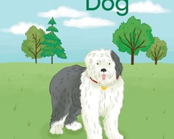 Man and Dog: My Letters and Sounds Phase Two Phonics Reader: Schofield ...
