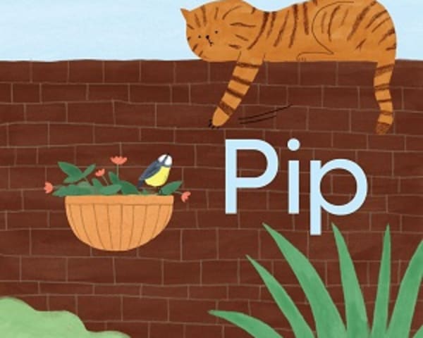 Pip: My Letters and Sounds Phase Two Phonics Reader — cover image