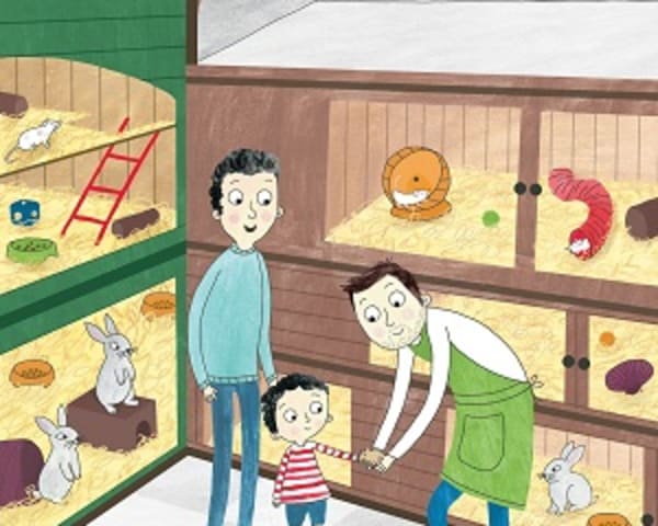 The Pet: My Letters and Sounds Phase Two Phonics Reader — cover image