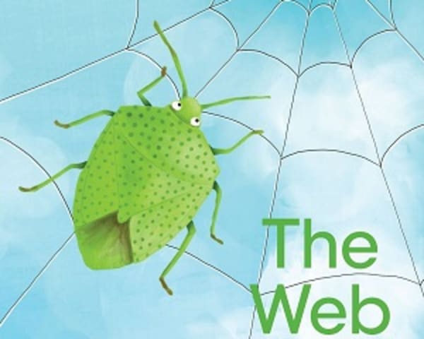 The Web: My Letters and Sounds Phase Three Phonics Reader — cover image