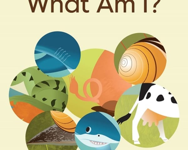 What Am I?: My Letters and Sounds Phase Four Phonics Reader — cover image