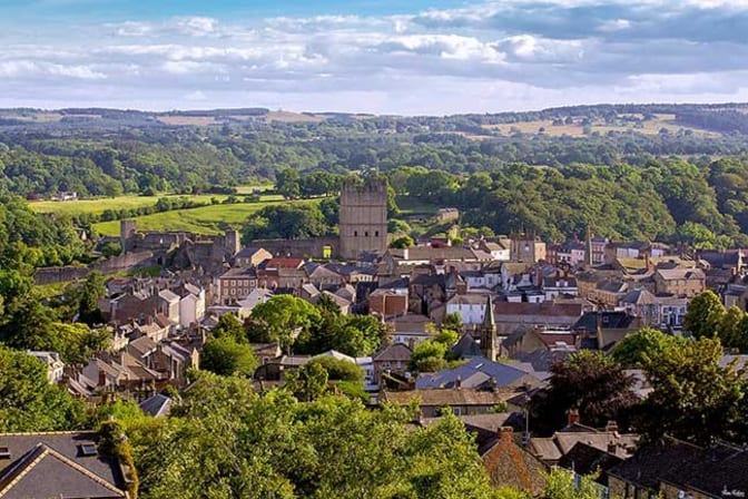 leafy gorgeous shot of town tom kolour