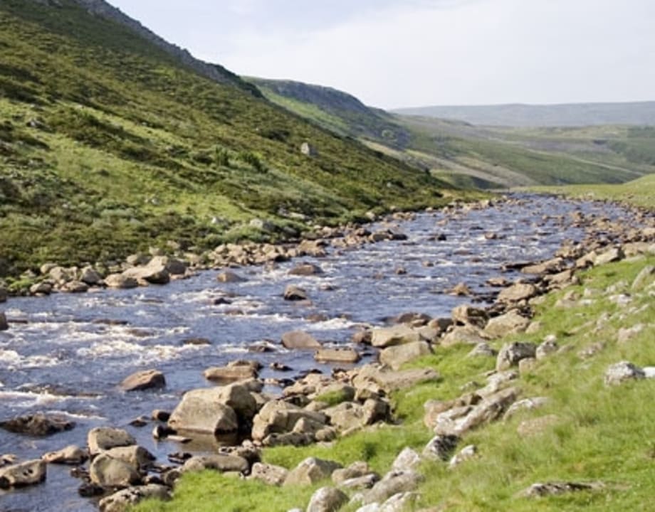 Guided Fly Fishing on the river Tees