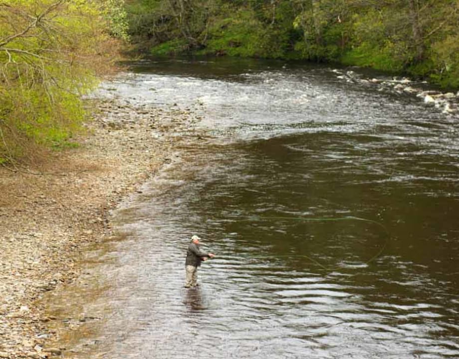 guided-fly-fishing-experience