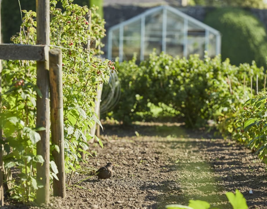 discover gardening