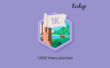 edwards commercial cleaning x ecologi