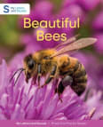 Beautiful Bees: My Letters and Sounds Phase Five Phonics Reader Cover