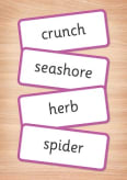 My Letters and Sounds Year 1 Word Cards Inner Page