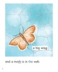The Web: My Letters and Sounds Phase Three Phonics Reader Inner Page