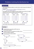 Understanding Maths: Problem Solving Inner Page