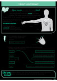 Understanding Science: Our Bodies Inner Page