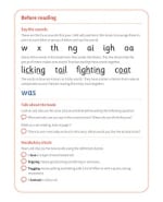 Cubs and Pups: My Letters and Sounds Phase Three Phonics Reader Notes & Guidance