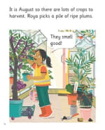 Farmers are Fantastic!: My Letters and Sounds Phase Five Phonics Reader Inner Page