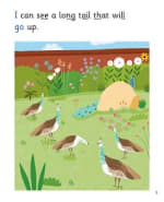I Can See...: My Letters and Sounds Phase Three Phonics Reader Inner Page