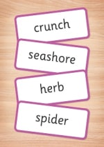 My Letters and Sounds Year 1 Word Cards Inner Page
