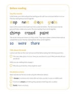 Stop That Chimp!: My Letters and Sounds Phase Four Phonics Reader Notes & Guidance