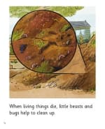 The Compost Heap: My Letters and Sounds Phase Five Phonics Reader Inner Page